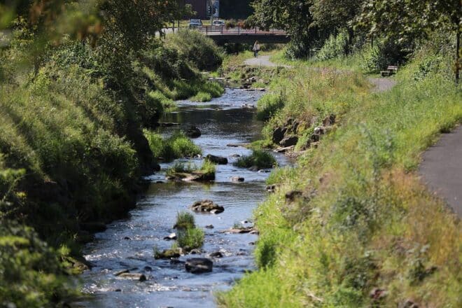 Saarland bestellt 23 neue ehrenamtliche Fischereiaufseher
