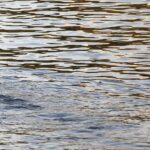 Kneippbecken in Erfurt: derzeit außer Betrieb wegen Wassermangel und Bodenbelagarbeiten.