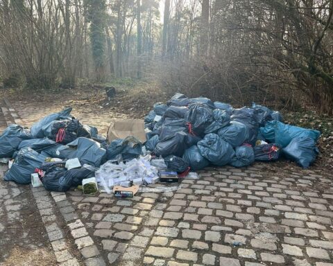 Müllsäcke mit Cannabisresten auf Parkplatz, Polizei ermittelt wegen illegaler Ablagerung.