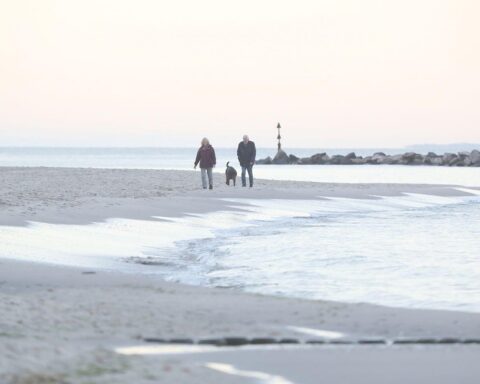 Schneebedeckter Strand mit klarer, blauer Himmel und sanften Wellen unter frostigen Temperaturen.