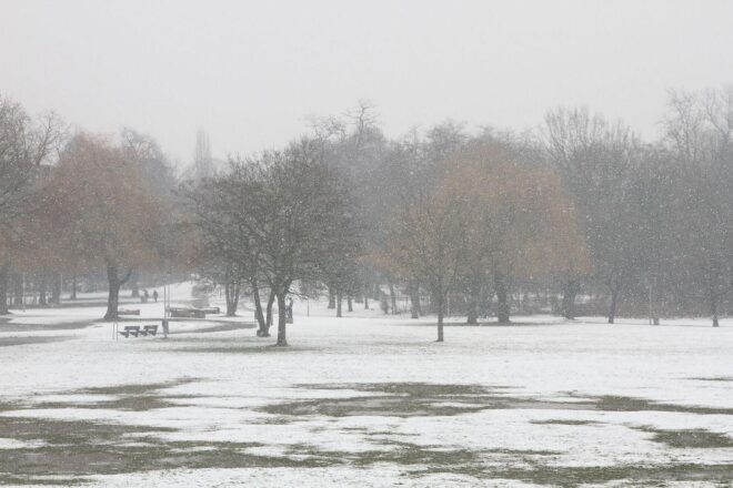 Wetterbericht für Schleswig-Holstein/Hamburg (11.01.2026)