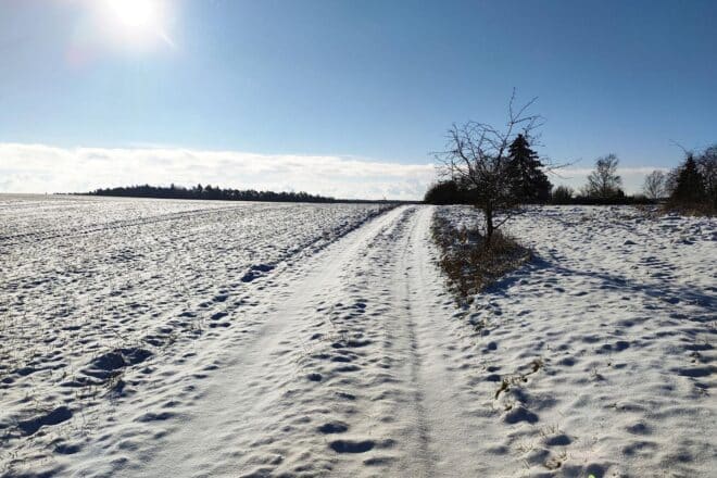 Wetterbericht für Thüringen (05.01.2026)