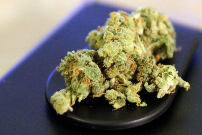 Zoll beschlagnahmt immer mehr Cannabis aus Nordamerika