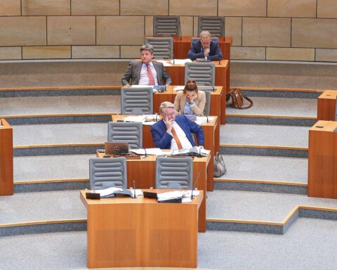 AfD-Abgeordnete im Landtag, hohe Mitarbeiterzahlen im Vergleich zu anderen Fraktionen.