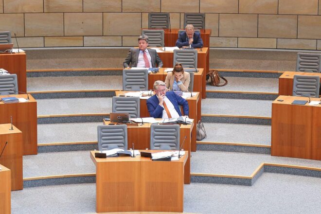 AfD-Landtagsabgeordnete beschäftigen besonders viele Mitarbeiter