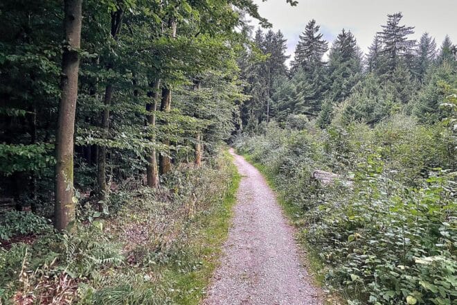 Baden-Württemberg kauft deutlich mehr Flächen für Natur- und Klimaschutz
