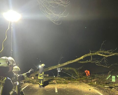 Geblockierte Straße durch umgestürzten Baum, Feuerwehr bei der Beseitigung des Hindernisses.
