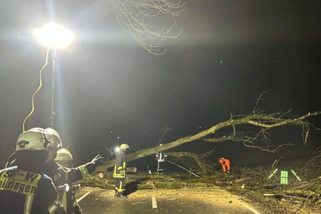 Baum blockiert Straße in Ense-Waltringen