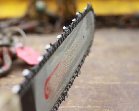 Motorsäge neben Bäumen, Symbol für bevorstehende Baumfällungen in Neu-Ulm für Radweg-Projekt.