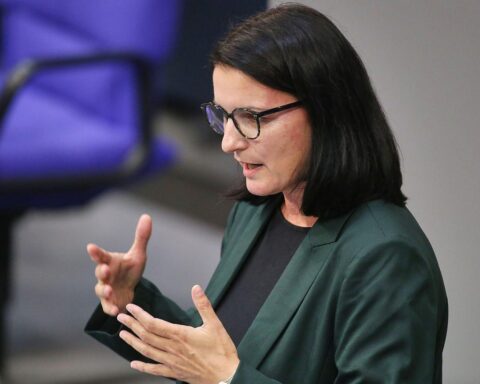 Irene Mihalic fordert Aufklärung im Fall Epstein, politische Verantwortung und Nachforschungen in Deutschland.