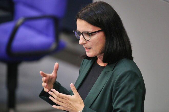 Epstein: Grüne fordern Bundesregierung zu Nachforschungen auf
