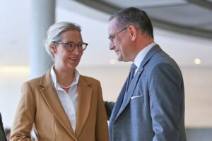 Politiker der AfD im Vergleich zur Union, steigende Wählergunst und politische Einschätzungen.