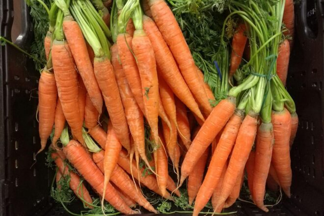 Gemüseernte steigt 2025 auf neuen Höchststand