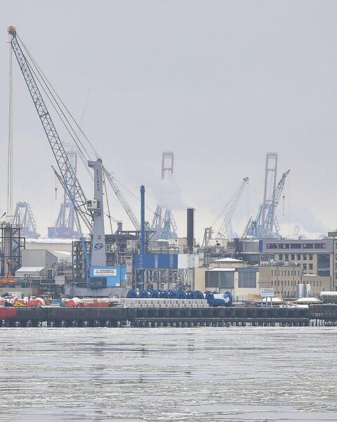 Hamburger Hafen mit Containerschiffen, symbolisiert Wachstum und starke Verbindungen zu Asien.