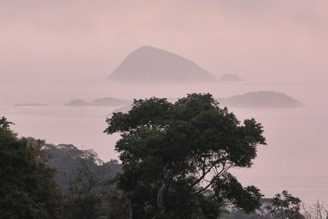 IPBES: Unternehmen gefährden durch Naturzerstörung eigene Zukunft