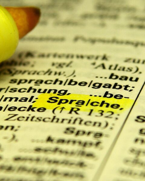 Ein Wörterbuch im Archiv: Studie zeigt, dass Dialektkompetenz sprachverarbeitende Gehirnregionen stärkt.