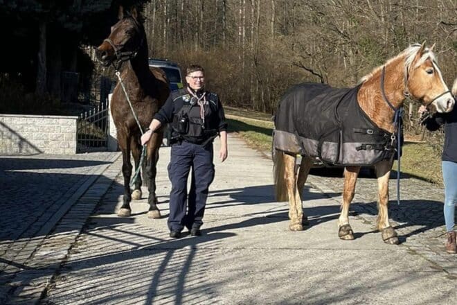 Pferde laufen aus und behindern Bahn und Straßenverkehr