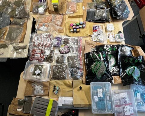 Polizei durchsucht Wohnungen, beschlagnahmt Drogen und Bargeld in Köln. Haftbefehle vollstreckt.