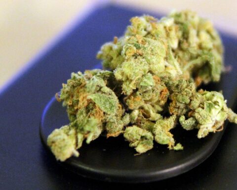 Bundespolizisten durchsuchen Wohnung, finden Cannabis im Keller, Verdächtiger in Handschellen, Ermittlungen laufen.