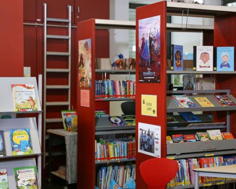 Kind liest ein Buch, umgeben von bunten Kinderbüchern und fördernden Materialien in der Schule.