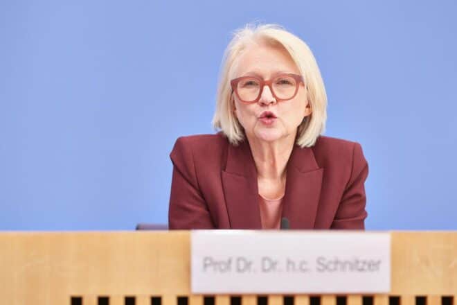 Schnitzer: Schwarzarbeiter zu gemeinnütziger Arbeit verpflichten