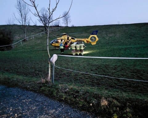 Rettungshubschrauber Christoph 5 fliegt verletzte Reiterin nach Waldunfall ins Krankenhaus.