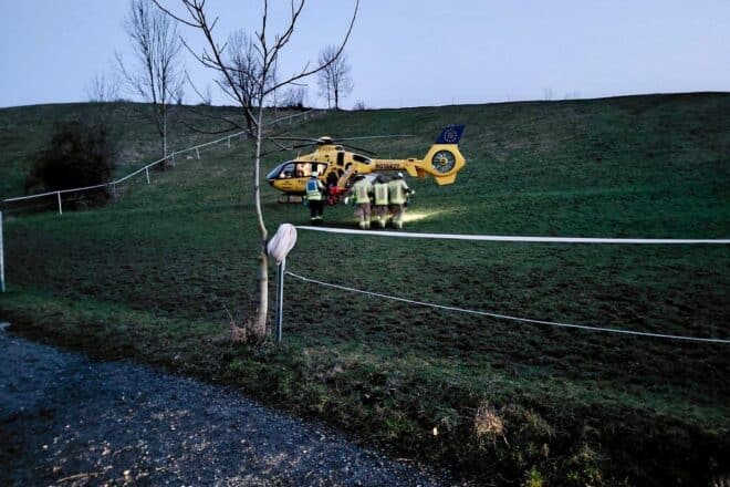 Schwerer Reitunfall im Weinheimer Wald erfordert aufwendige Rettung