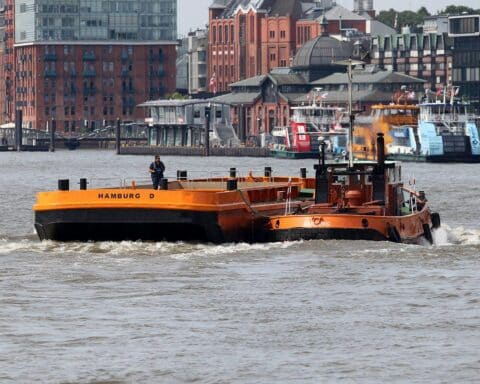 Grüne Freifläche mit Sportangeboten und Bäumen im Hamburger Hafen wird geplant.
