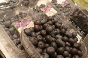 Eine bunte Auswahl frischer Strauchbeeren, darunter Heidelbeeren, Johannisbeeren und Himbeeren, präsentiert.