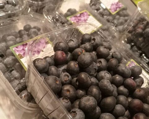 Eine bunte Auswahl frischer Strauchbeeren, darunter Heidelbeeren, Johannisbeeren und Himbeeren, präsentiert.