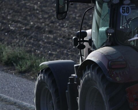 Bauer auf Traktor, Erntezeit, Strauchbeeren, landwirtschaftliche Landschaft, Nordrhein-Westfalen, Fruchtanbau.