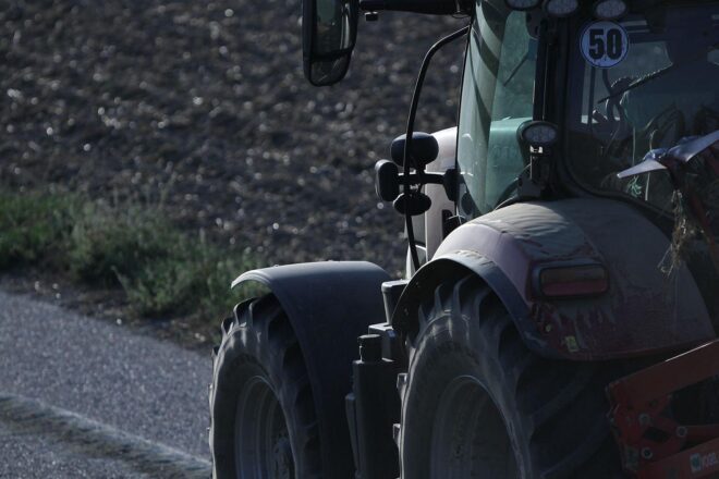 Strauchbeerenernte in NRW verfehlt knapp Rekord