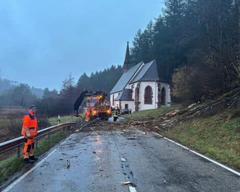 Verkehrsunfall mit Audi und BMW, Bäume auf der Straße, Verletzte und Schadensmeldung.