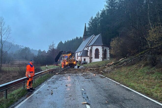 Umgestürzte Bäume verursachen Unfall auf L 478 bei Bundenthal