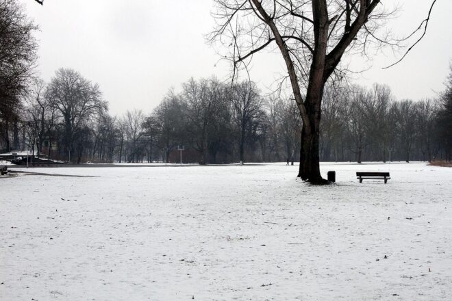 Wetterbericht für Bayern (02.02.2026)