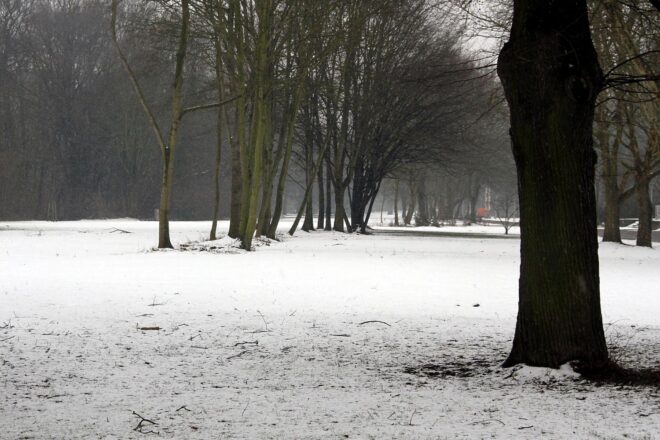 Wetterbericht für Hessen (15.02.2026)