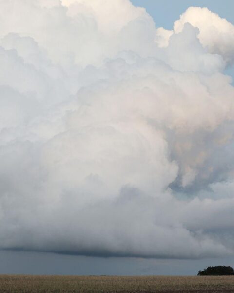 Dichte Wolken über Sachsen-Anhalt, mit Andeutungen von Gewittern und wechselhaftem Wetter.