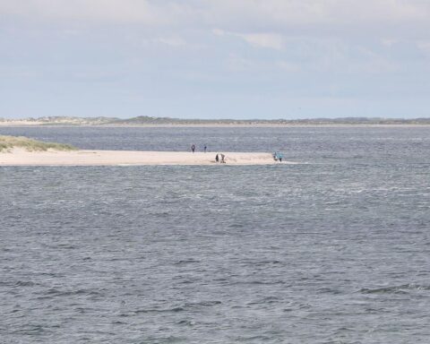 Trübes Wetter mit Regen, Nebel und milde Temperaturen an der Nordseeküste.