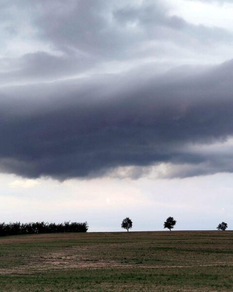 Düstere Gewitterwolken über einem Acker, symbolisieren bevorstehende Unwetter und Starkregen.