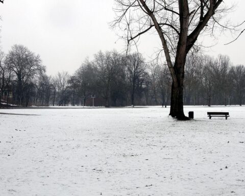 Winterliche Landschaft mit Schnee, bedecktem Himmel und vereisten Straßen in Thüringen.