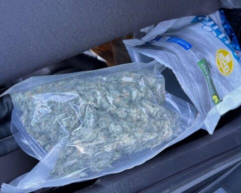 Zollbeamte entdecken Marihuana in Hundefutterverpackung während Grenzkontrolle bei Walserberg.