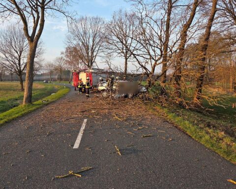 Schwerer Verkehrsunfall: beschädigtes Auto, umgestürzter Baum und Polizei vor Ort.