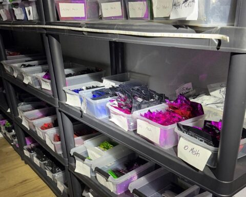 Drogenfund: 85 kg Betäubungsmittel, Anklage gegen fünf mutmaßliche Drogenhändler in Bamberg.