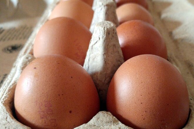 Bio-Eier-Produktion in NRW erneut gestiegen