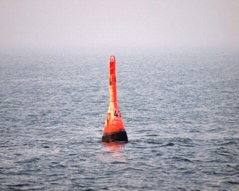 Buckelwal in der Bucht von Kirchdorf, Ostsee, mit Boje im Vordergrund.
