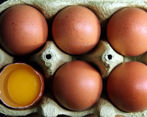 Steigende Eierpreise in Nordrhein-Westfalen: Februar 2023 zeigt erheblichen Anstieg, Kontext Ostern.