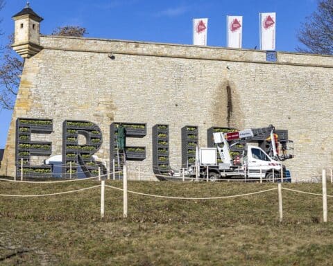 Erfurt-Schriftzug mit blühenden Violen, frische Farben, Frühlingsbeginn, blühendes Stadtbild.