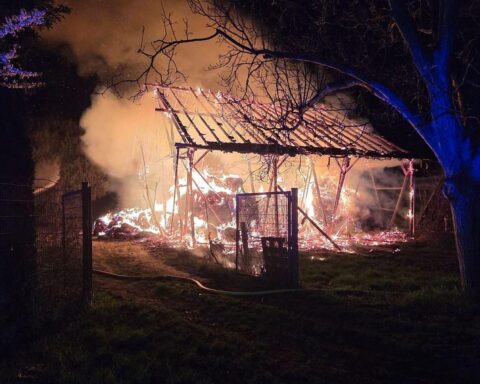 Scheune brennt, Feuerwehr im Einsatz, Schutz angrenzender Vegetation, keine Verletzten.