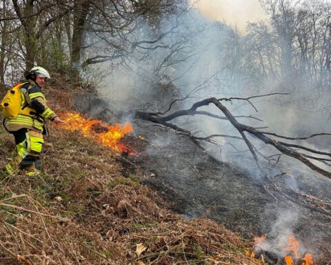 Feuerwehr im Einsatz gegen Waldbrand, Rauch und Löschfahrzeuge im unzugänglichen Geländebereich.