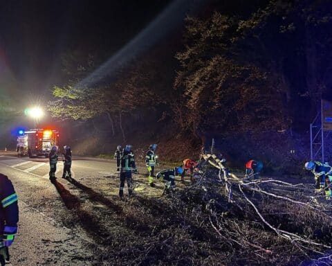 Umgestürzter Baum blockiert Straße, Feuerwehr entfernt ihn nachts mit Kettensäge.